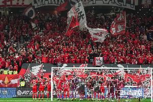  马德兴：海港球迷很少高调只默默跟随，没招惹任何一方更不树敌